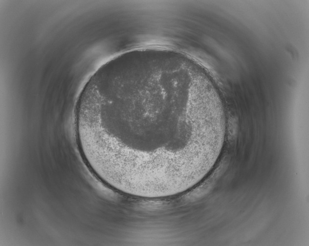 X0000111451470200908241155