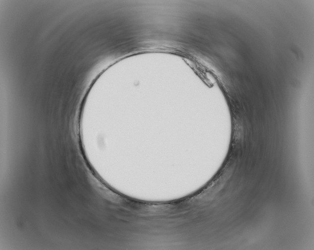 X0000111451471200908241155