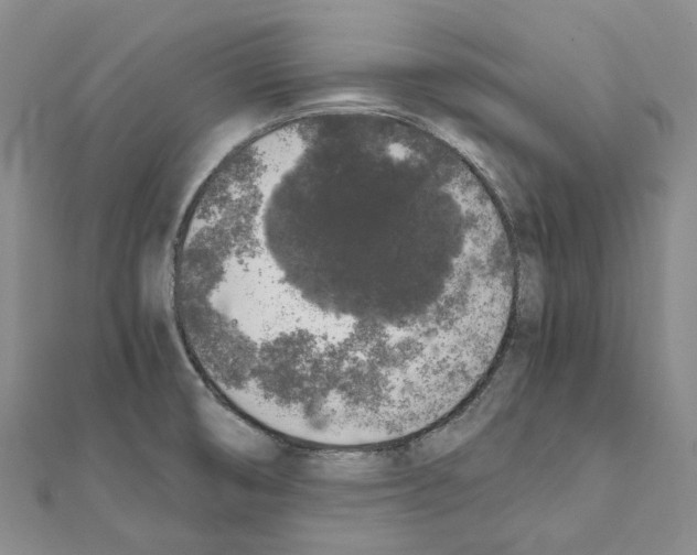 X0000111451474200908241155