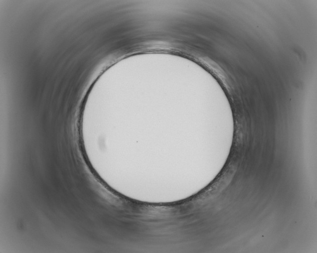 X0000111451475200908241155