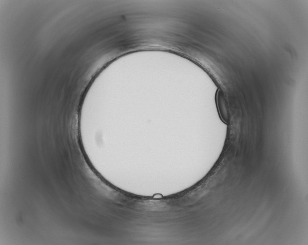 X0000111451476200908241155