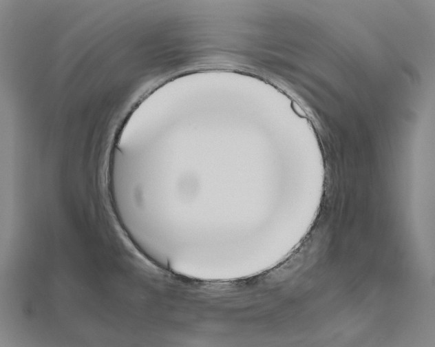 X0000111451477200908241155