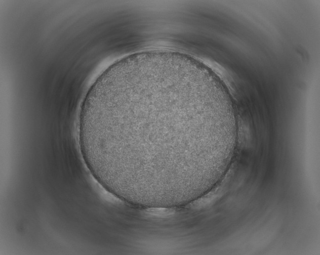 X0000111451478200908241155