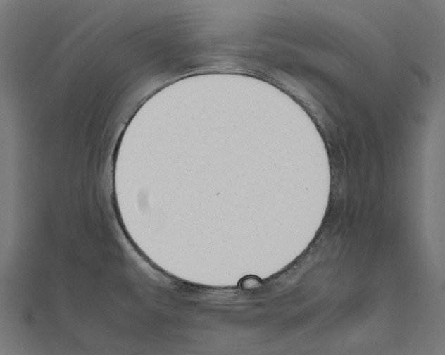 X0000111451479200908241155