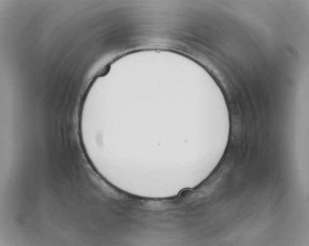 X0000111451480200908241155