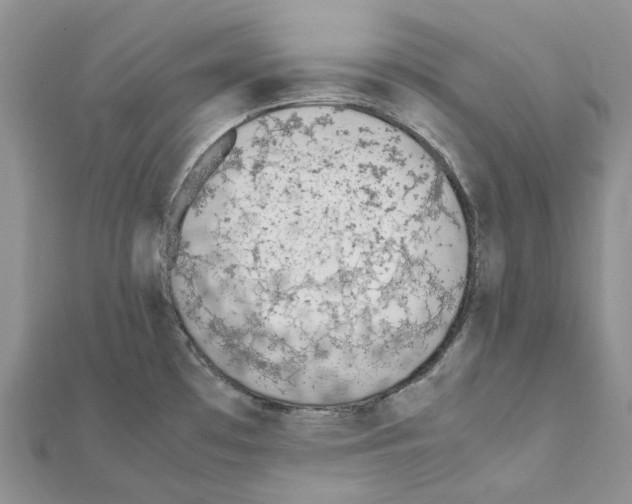 X0000111451481200908241155