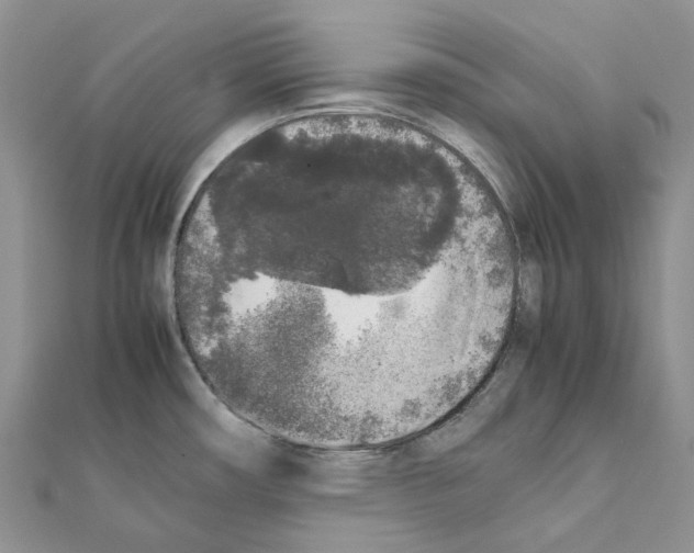 X0000111451482200908241155