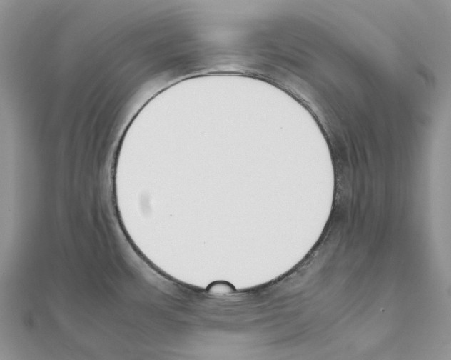 X0000111451483200908241155
