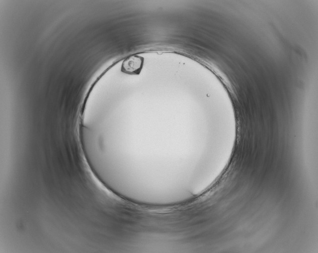 X0000111451484200908241155