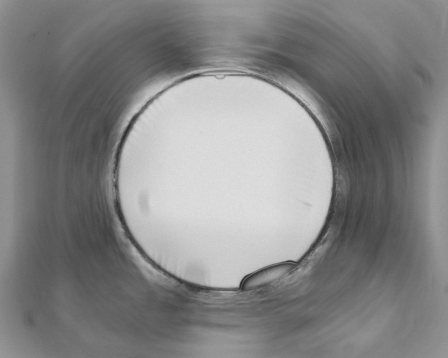 X0000111451485200908241155