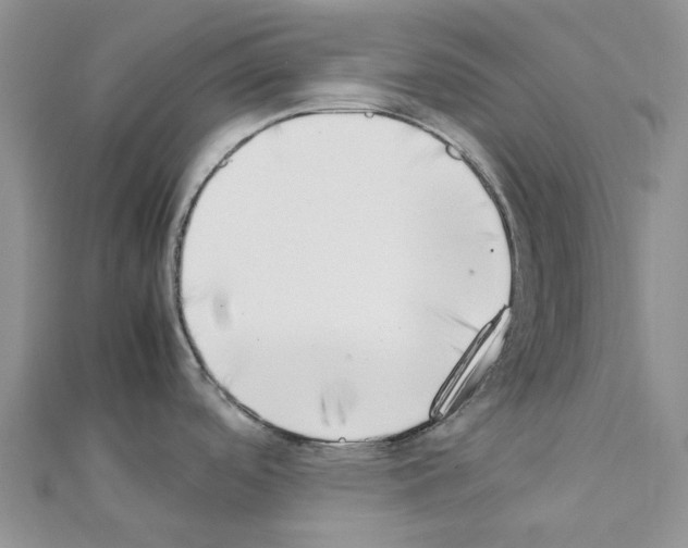 X0000111451488200908241155
