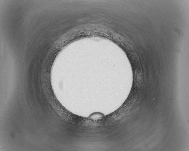X0000111451489200908241154