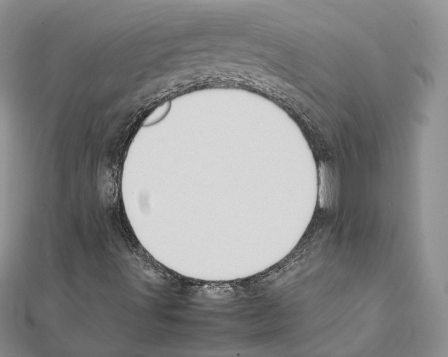 X0000111451491200908241154