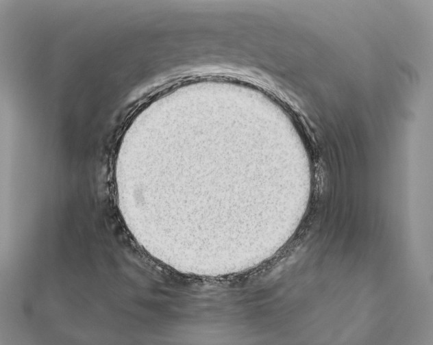 X0000111451494200908241154