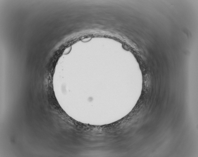 X0000111451495200908241154