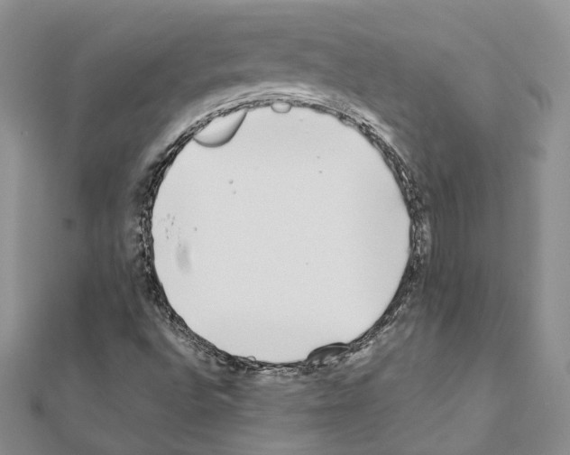 X0000111451496200908241154
