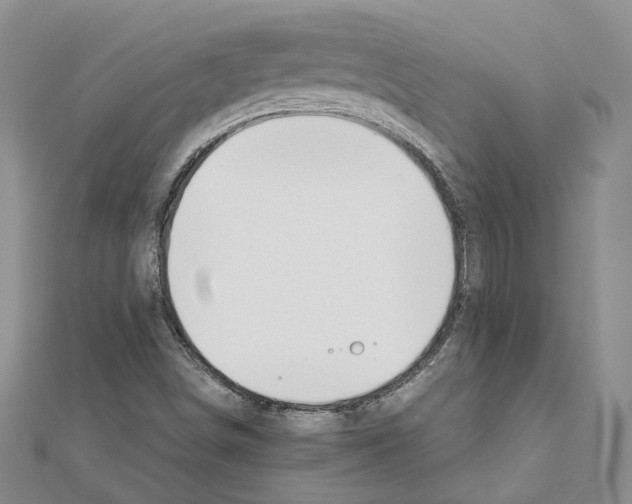 X0000111451498200908241154