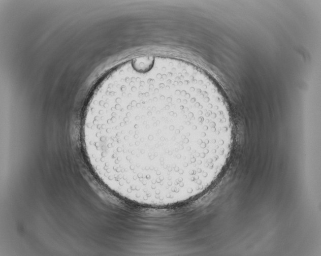 X0000111451499200908241154