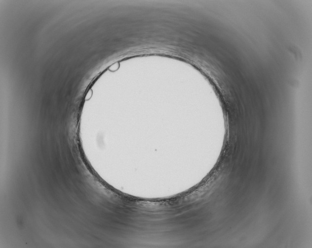 X0000111451500200908241154