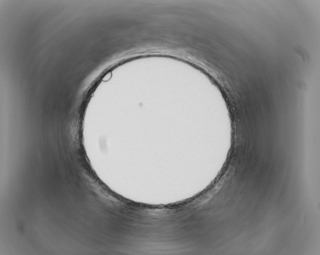 X0000111451502200908241154