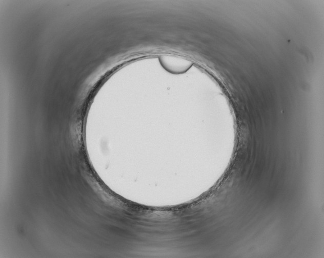 X0000111451503200908241154