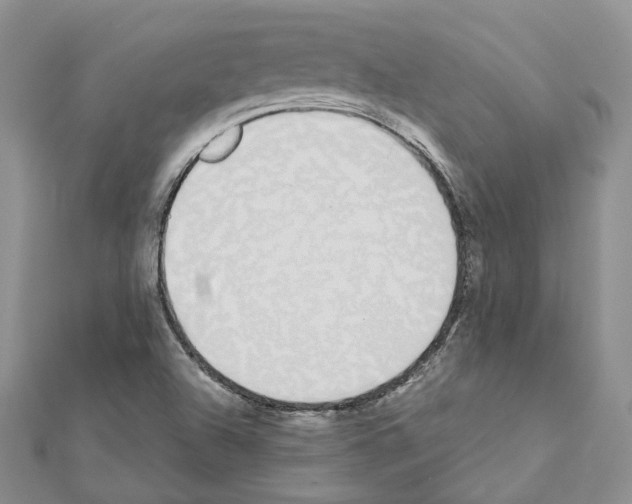 X0000111451504200908241154