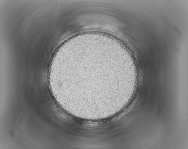 X0000111451505200908241154