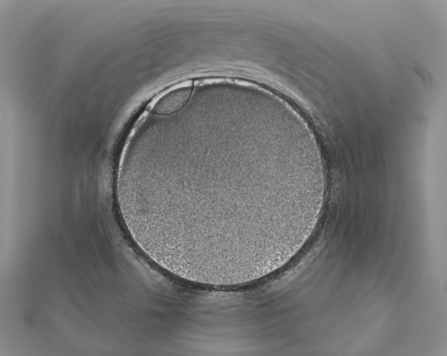 X0000111451506200908241154