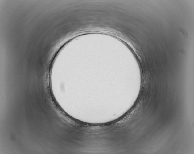 X0000111451507200908241154