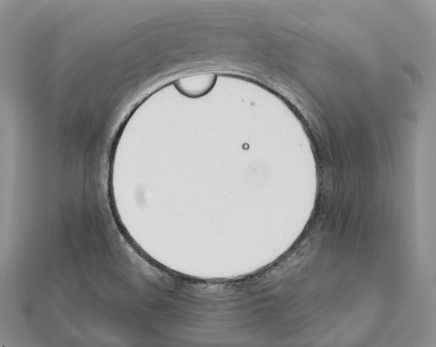 X0000111451508200908241154