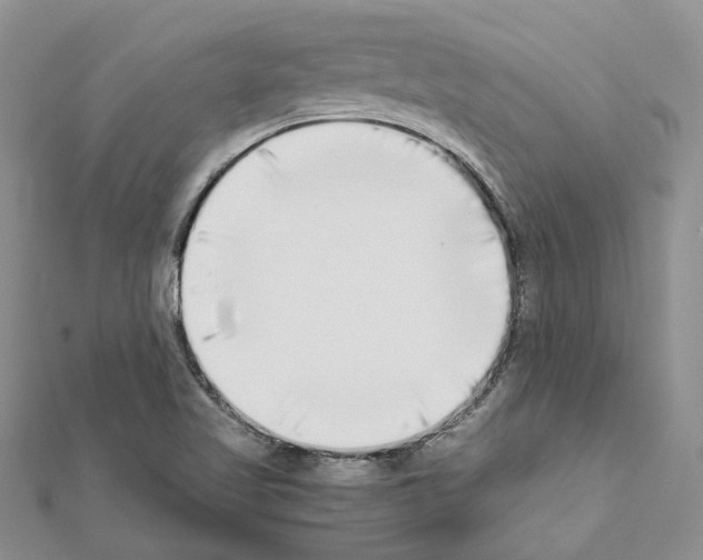 X0000111451509200908241154