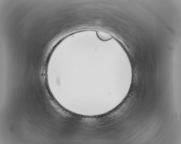 X0000111451511200908241154