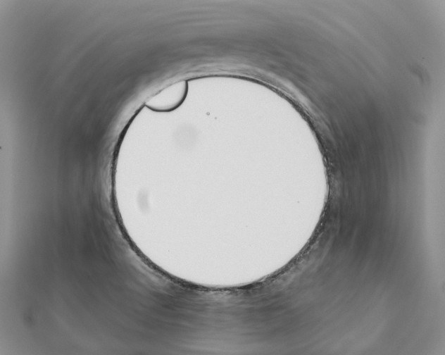 X0000111451512200908241154
