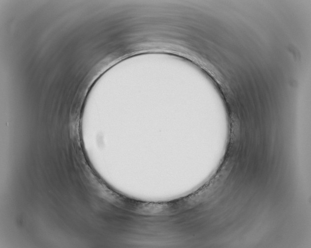 X0000111451513200908241154