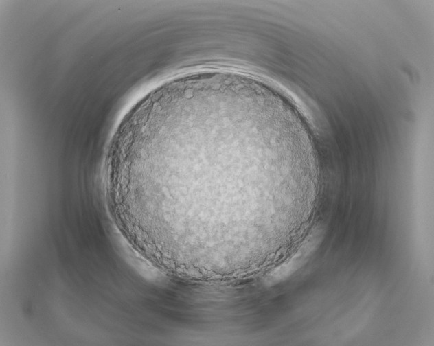 X0000111451514200908241154