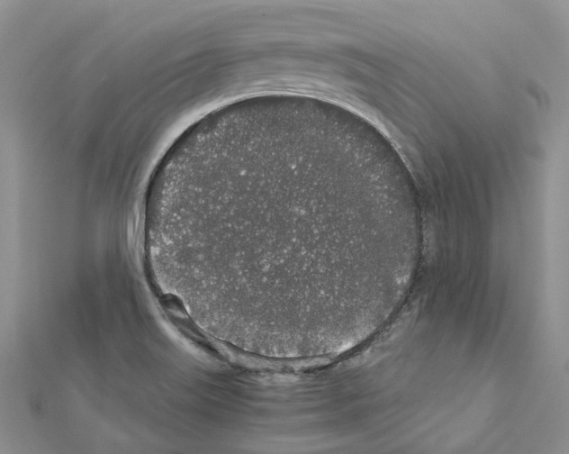 X0000111451515200908241154