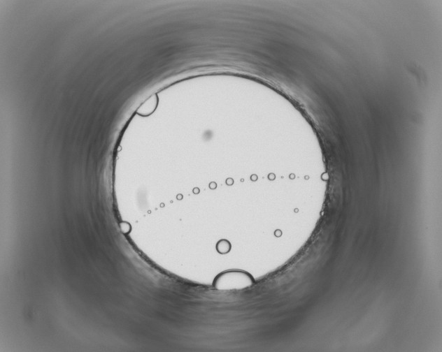 X0000111451516200908241154