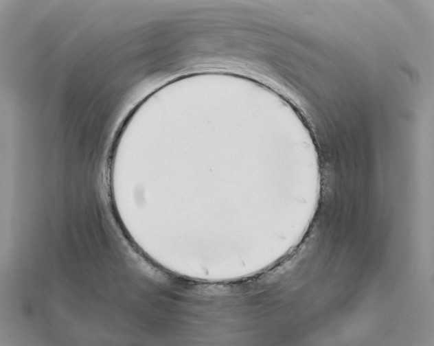 X0000111451517200908241154