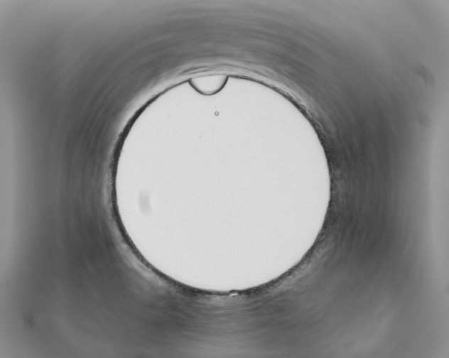 X0000111451518200908241154