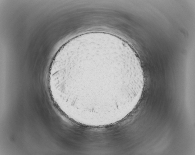 X0000111451519200908241154