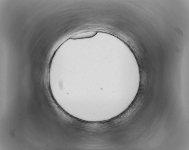 X0000111451520200908241154