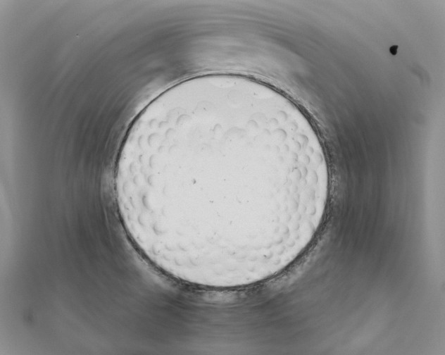 X0000111451521200908241154