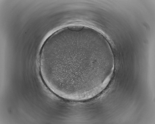 X0000111451522200908241154