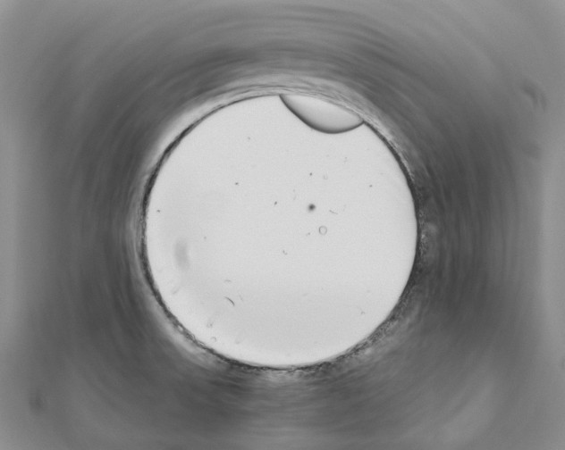 X0000111451523200908241154