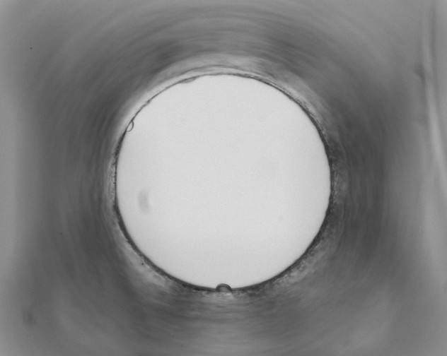 X0000111451524200908241154