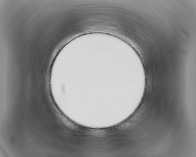 X0000111451525200908241154