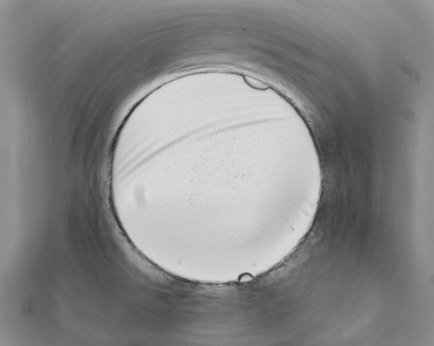 X0000111451526200908241154