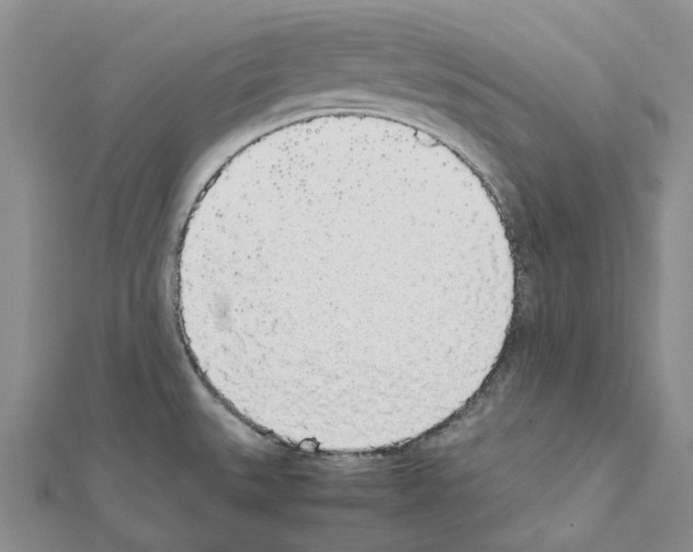 X0000111451527200908241154