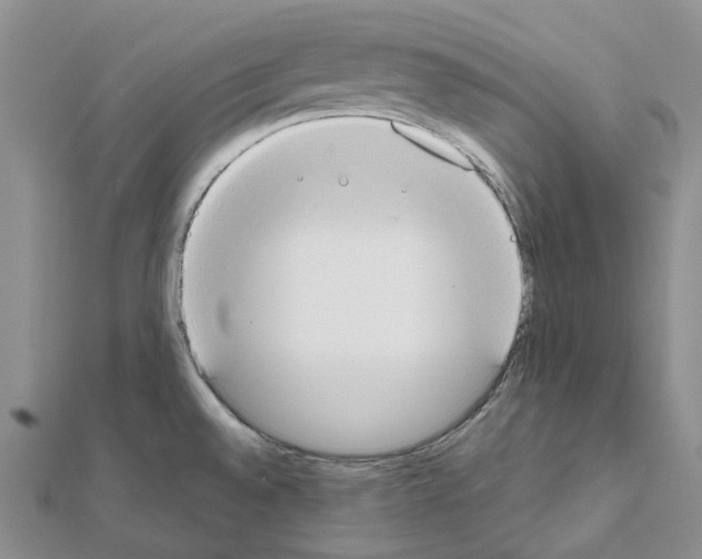 X0000111451528200908241154