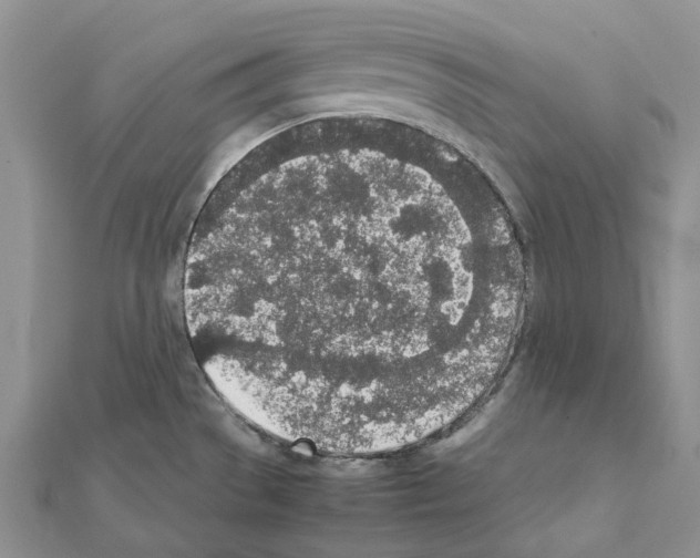 X0000111451529200908241154